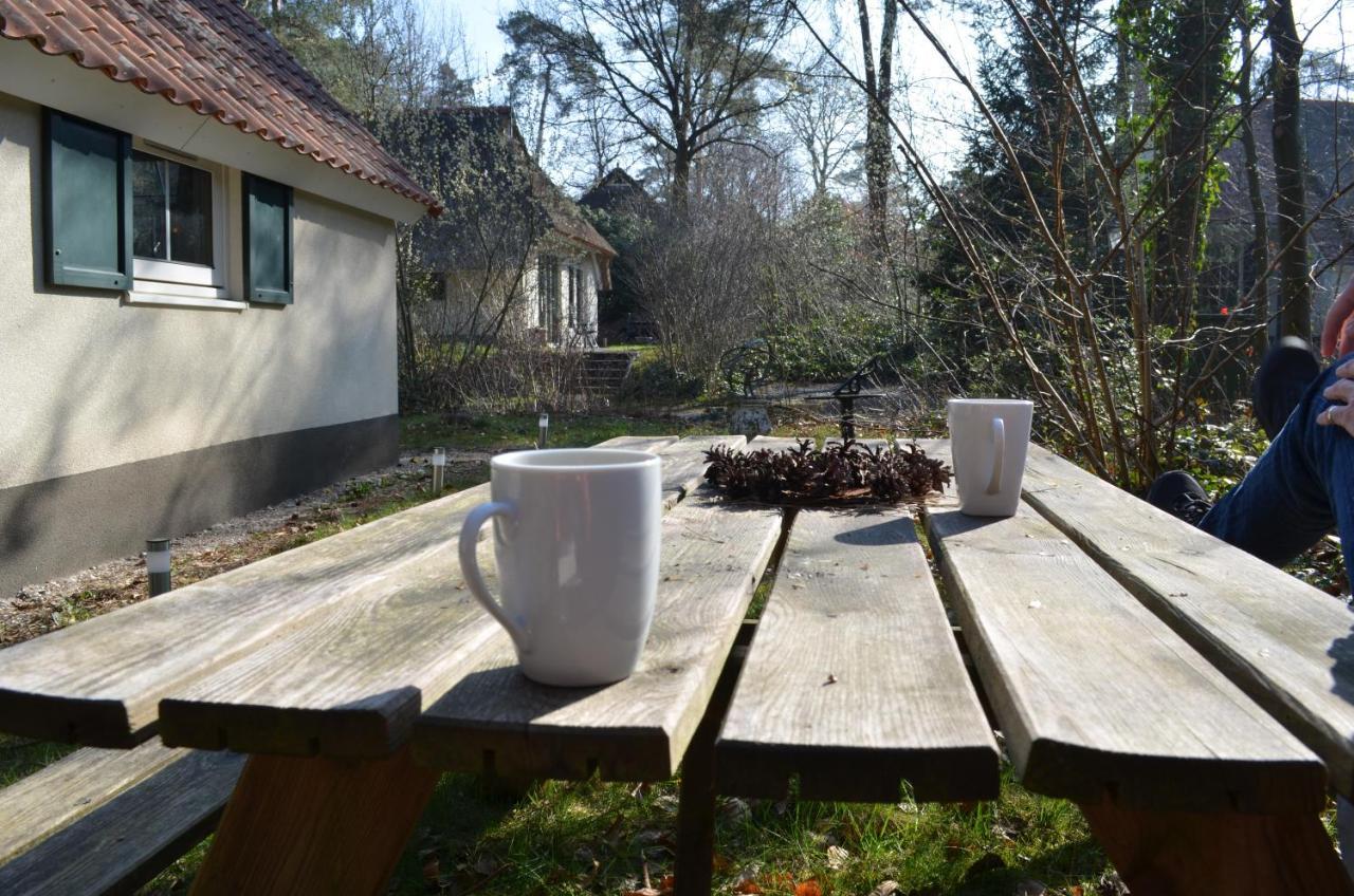 Willa Wittebergen25 IJhorst Zewnętrze zdjęcie