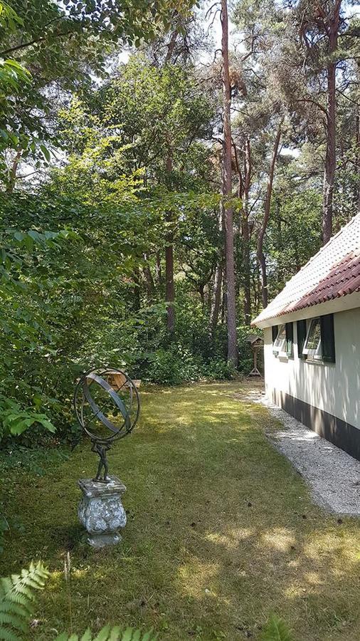 Willa Wittebergen25 IJhorst Zewnętrze zdjęcie